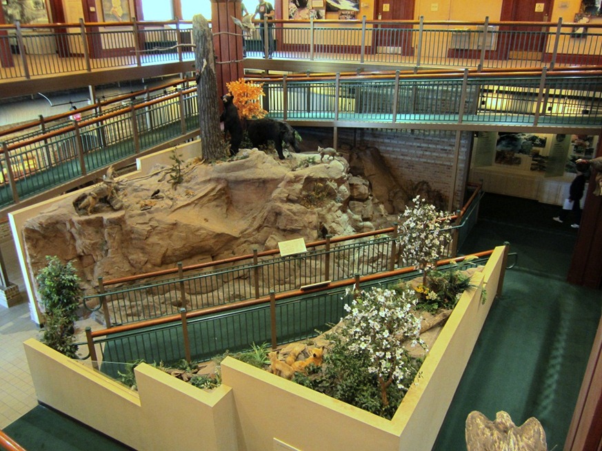 [08-ramped-exhibits3.jpg]