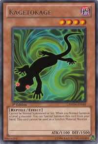 26 26