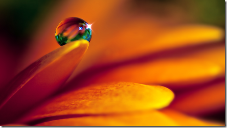imagini desktop macro imagini desktop macro