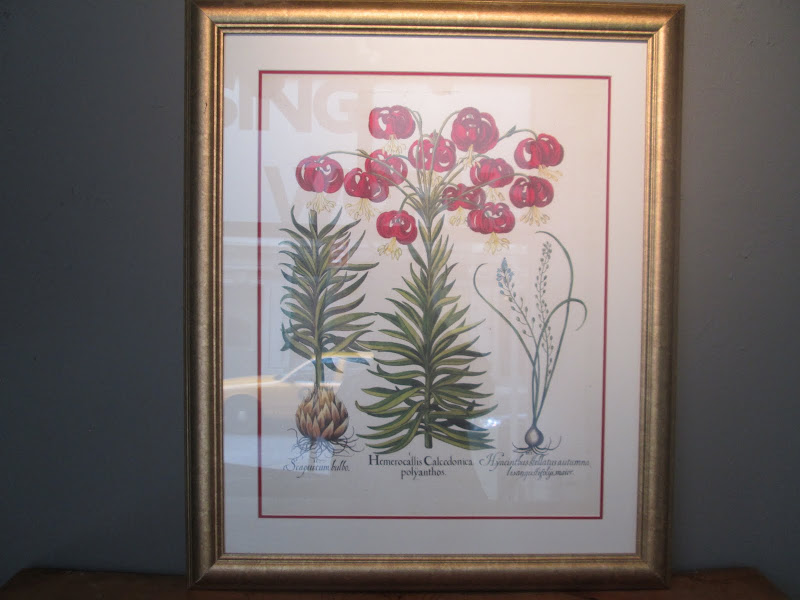 Botanical Print  2
