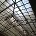 R0029809.JPG