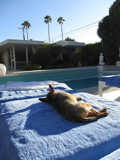 Minnow: 