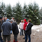 image_from_picasa
