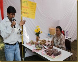 IMG_9543 IMG_9543