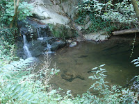 DSC09289.JPG Photo