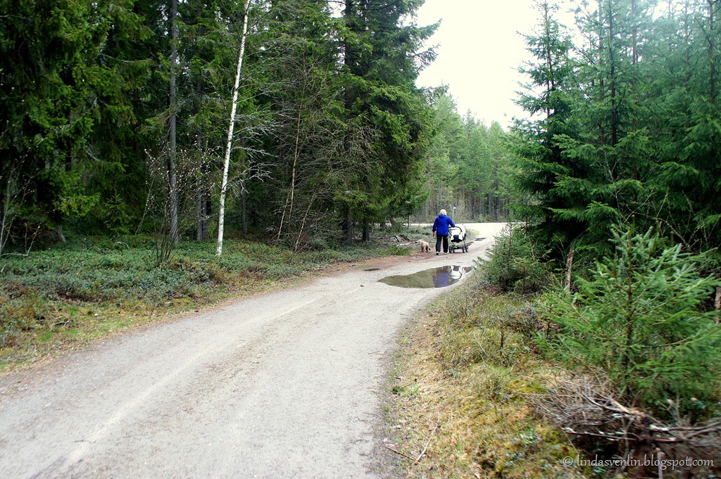 [DSC065541%255B16%255D.jpg]