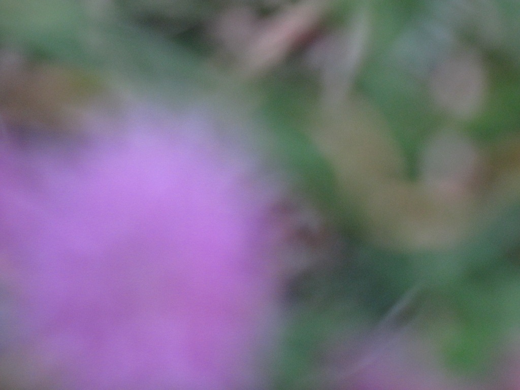 [IMG_8496%255B5%255D.jpg]