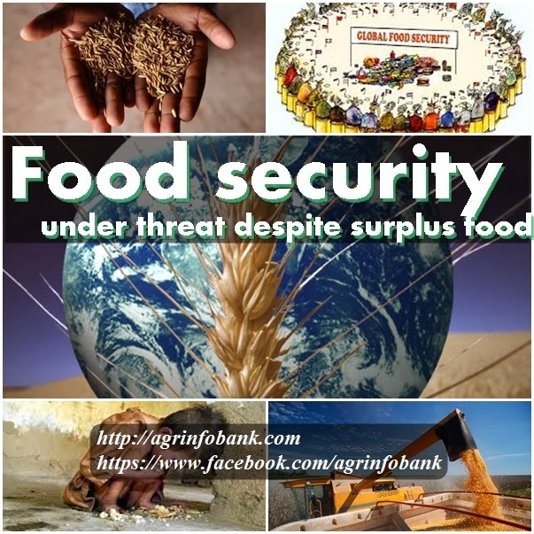 [Food%2520security%2520under%2520threat%2520despite%2520surplus%2520food%255B3%255D.jpg]