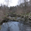 dsc05093.jpg