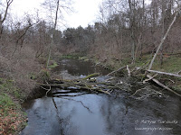 rzeka Obra