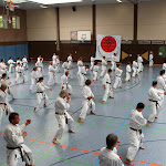 H25D3000.JPG