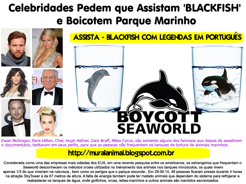 [boycott-seaworld%255B3%255D.png]