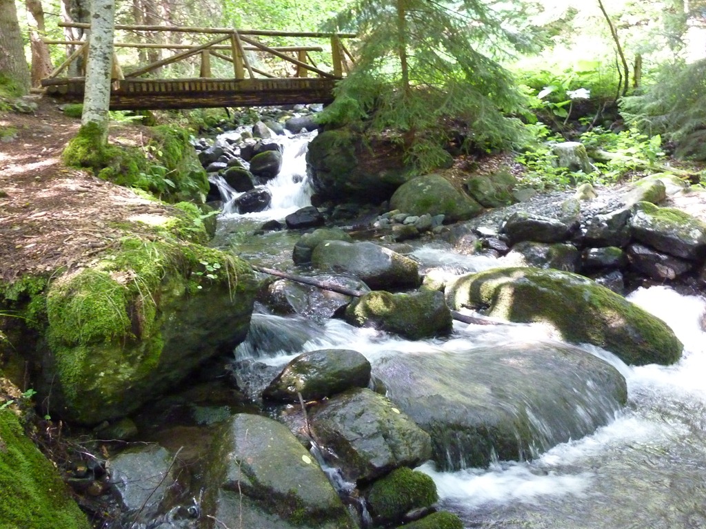 [P10206425.jpg]