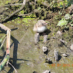 DSCN9537.JPG
