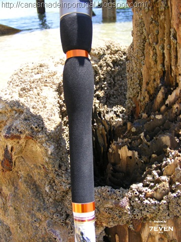 [condinho-gripdetail%255B7%255D.jpg]