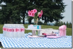 IMG_1675 IMG_1675