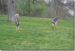 IMG_4428 IMG_4428