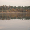 dsc06298.jpg
