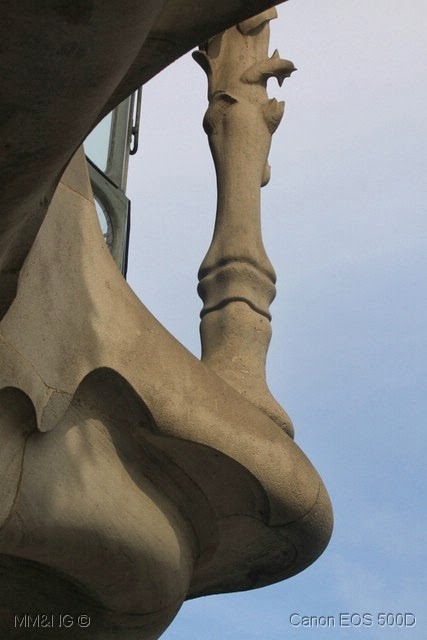 [IMG_0066%255B3%255D.jpg]