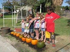 IMG_8256 IMG_8256