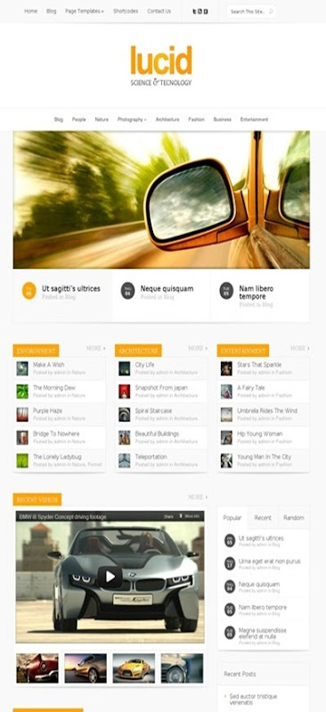 lucid wp theme