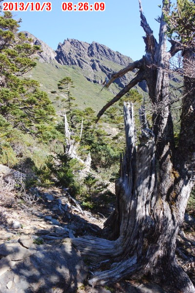 2013_1003_082609 2013_1003_082609