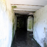 IMG_8269.JPG