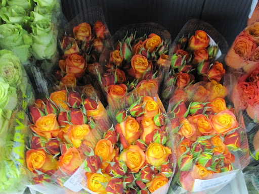 The color of these roses is so captivating.
