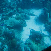 Part 2 of Honeymoon 343.JPG