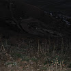 163_6382.jpg