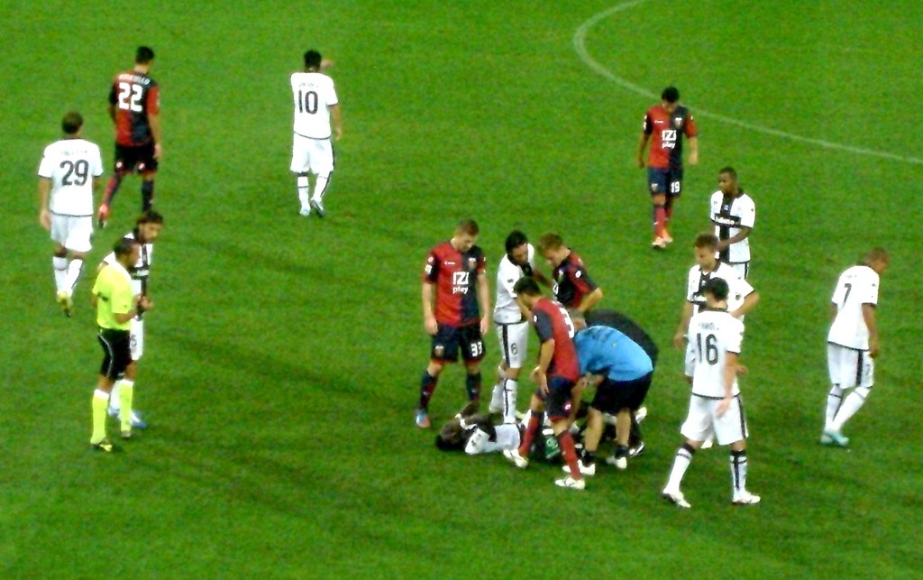 [acquah%2520a%2520terra%2520dopo%2520entrata%2520bovo%2520in%2520genoa%2520parma%255B2%255D.jpg]