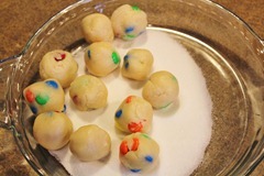 IMG_1772 IMG_1772