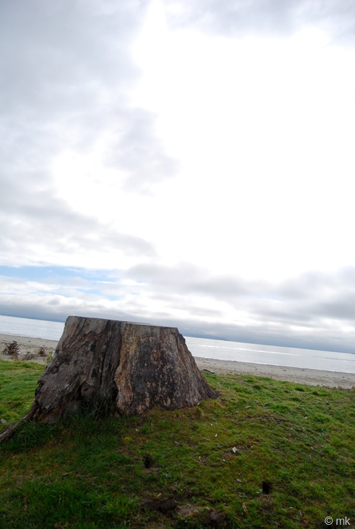 [DSC_10748.jpg]
