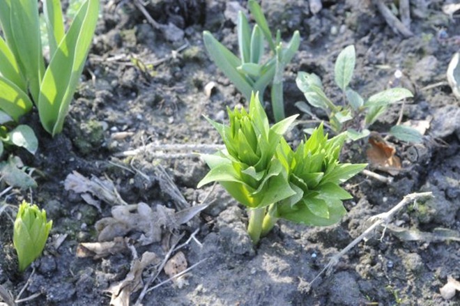 claus20120327_120708