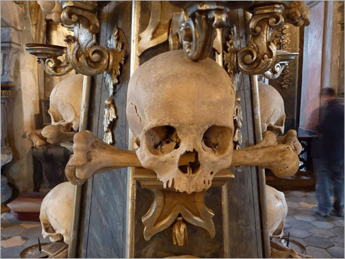 Human skull and bones 
