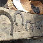 DSC08100.JPG