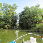 IMG_7864.JPG