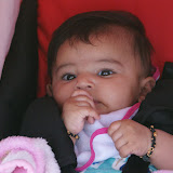 DSC01384.JPG