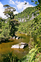 NZD2-11_JK_509.jpg