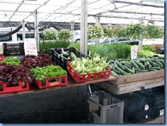 6295 Ottawa Byward Market 6295 Ottawa Byward Market