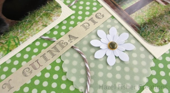2013July22 Basil scrapbook page layout 3 2013July22 Basil scrapbook page layout 3