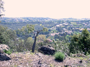 rio-guadarrama-parque-regional (7).JPG