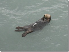 IMG_4860 IMG_4860