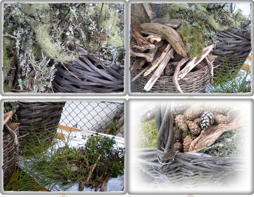 [DSCN4299-vert-vert-tile%255B3%255D.jpg]