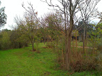 Paisaje de la Casa de Campo