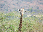 Akagera Nationalpark