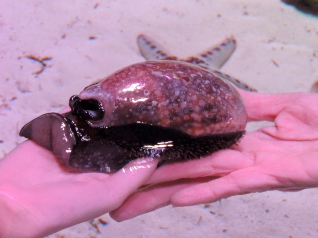 [DSCN1337%255B3%255D.jpg]