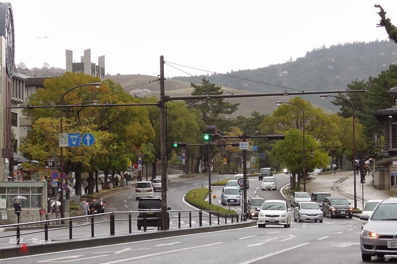 奈良 春日大社&奈良公園(なら)