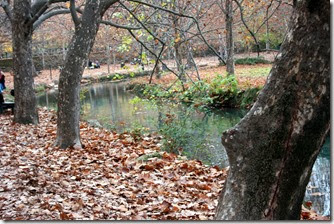 IMG_3790 IMG_3790