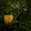 IMG_2996-2-1.jpg